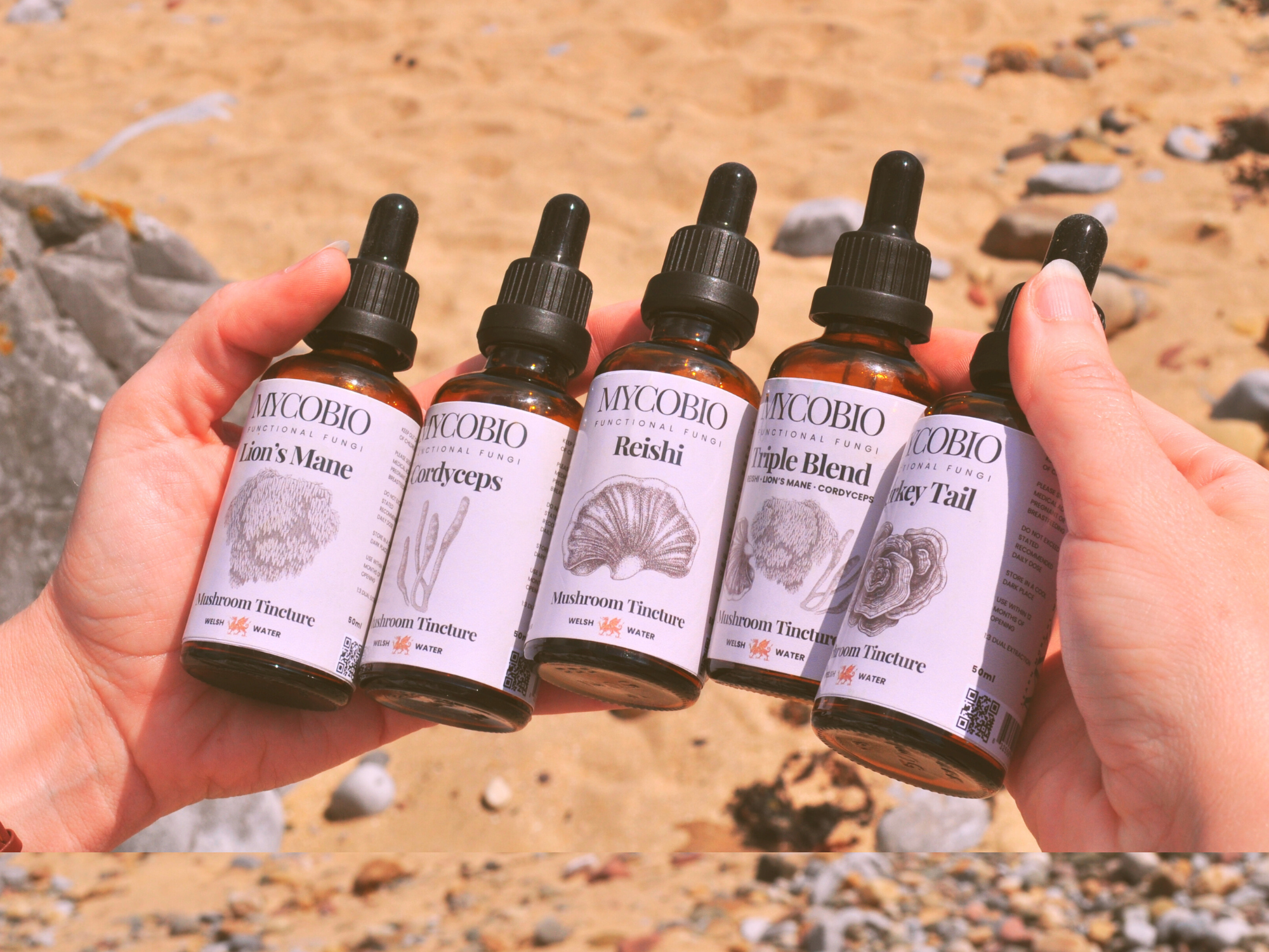 Mushroom Tinctures