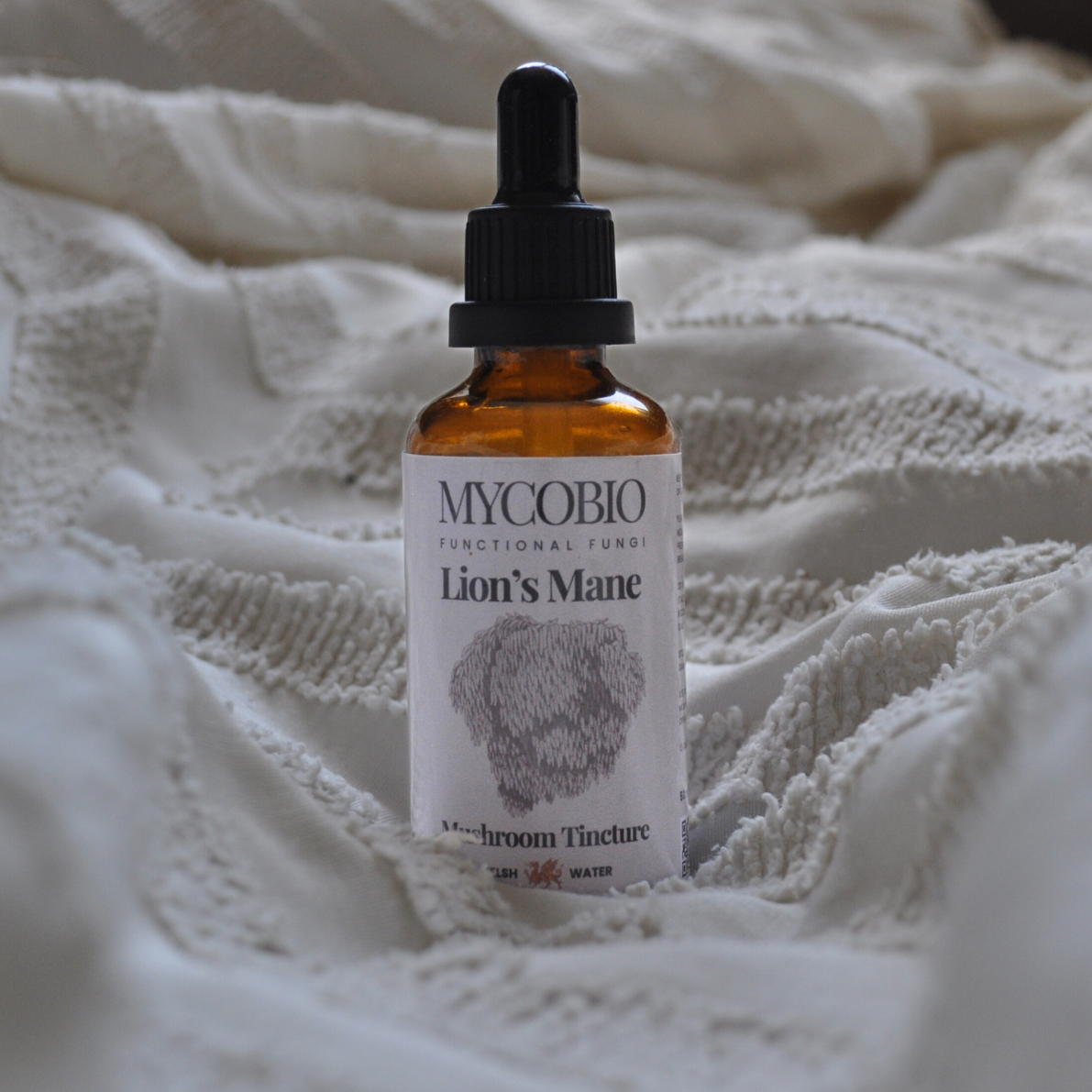 Lion's Mane Mushroom Tincture