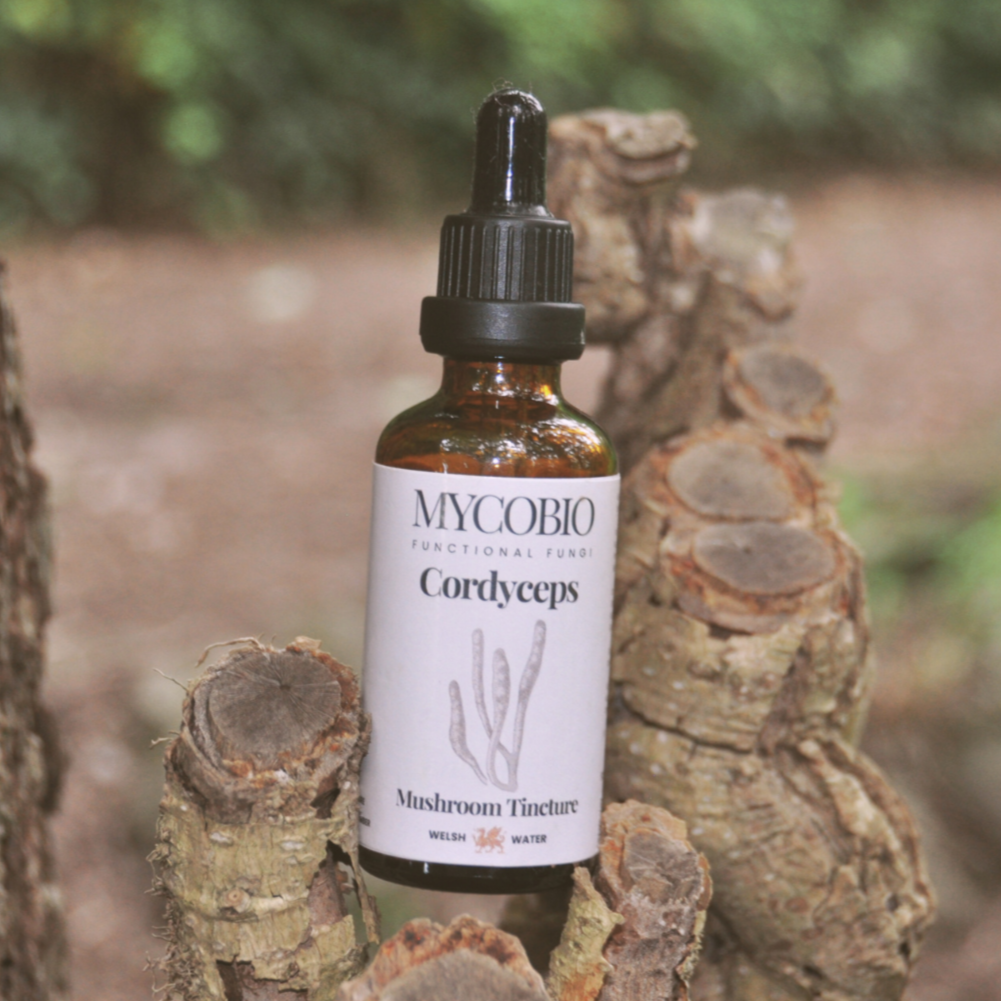 Cordyceps Mushroom Tincture