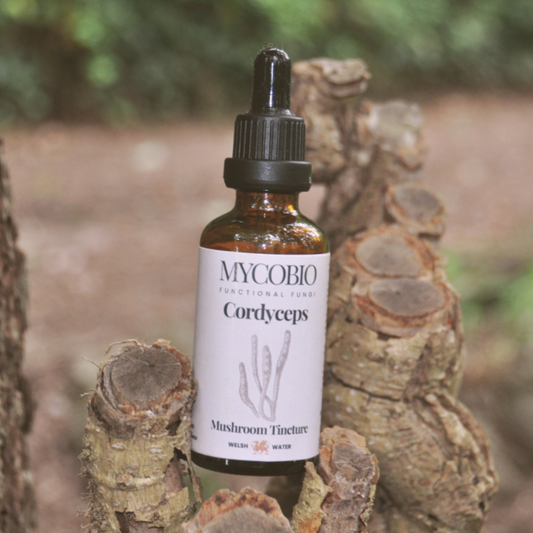 Cordyceps Mushroom Tincture
