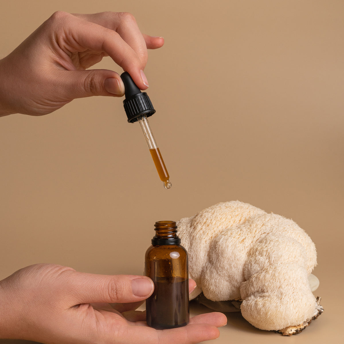 Lion's Mane Mushroom Tincture