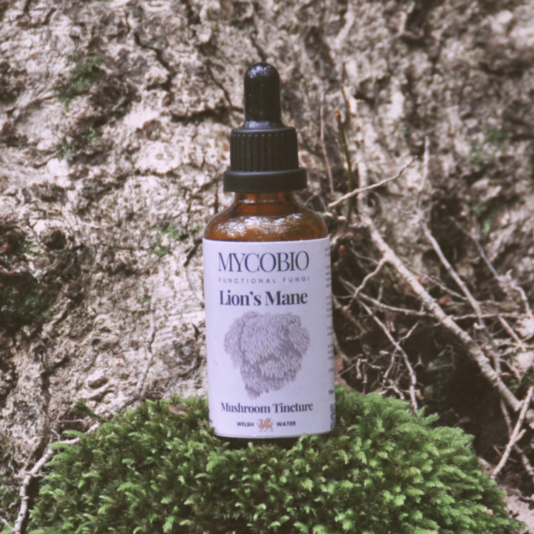 Lion's Mane Mushroom Tincture