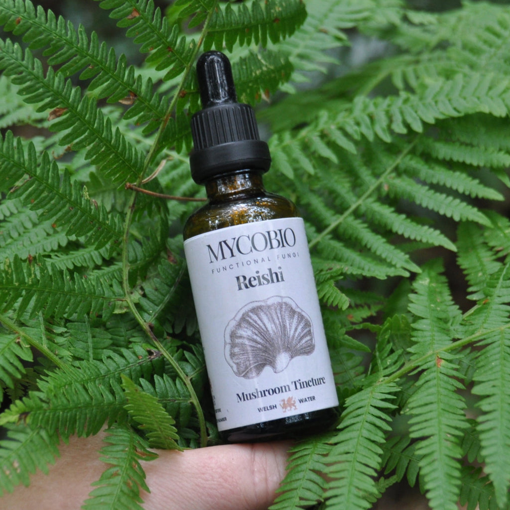 Reishi Mushroom Tincture