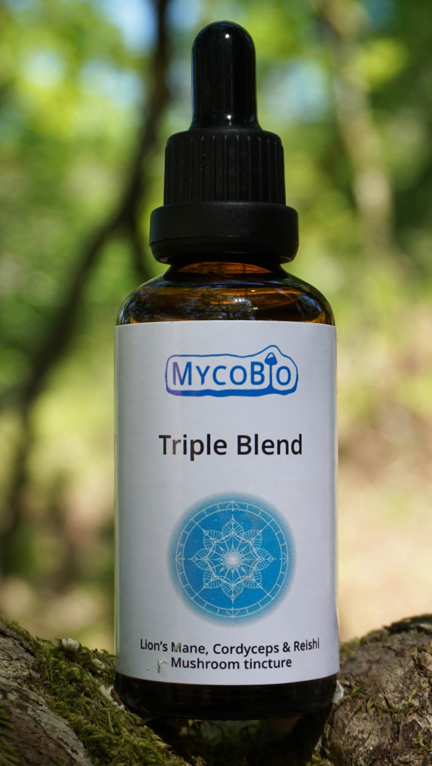 Triple Blend Tincture. Lion's mane, Reishi, Cordyceps Mushrooms