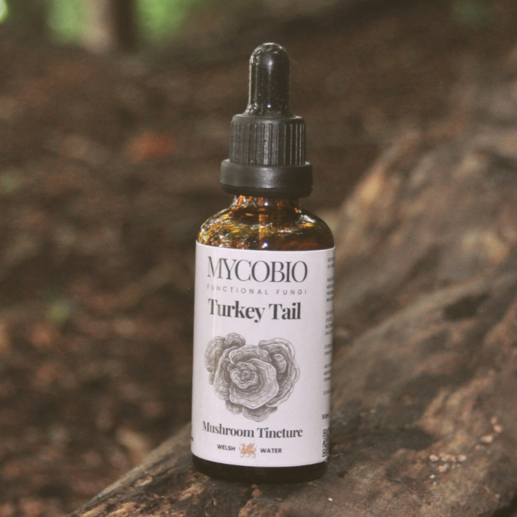 Bottle of Mycobio Turkey Tail on a wooden log with a forest background