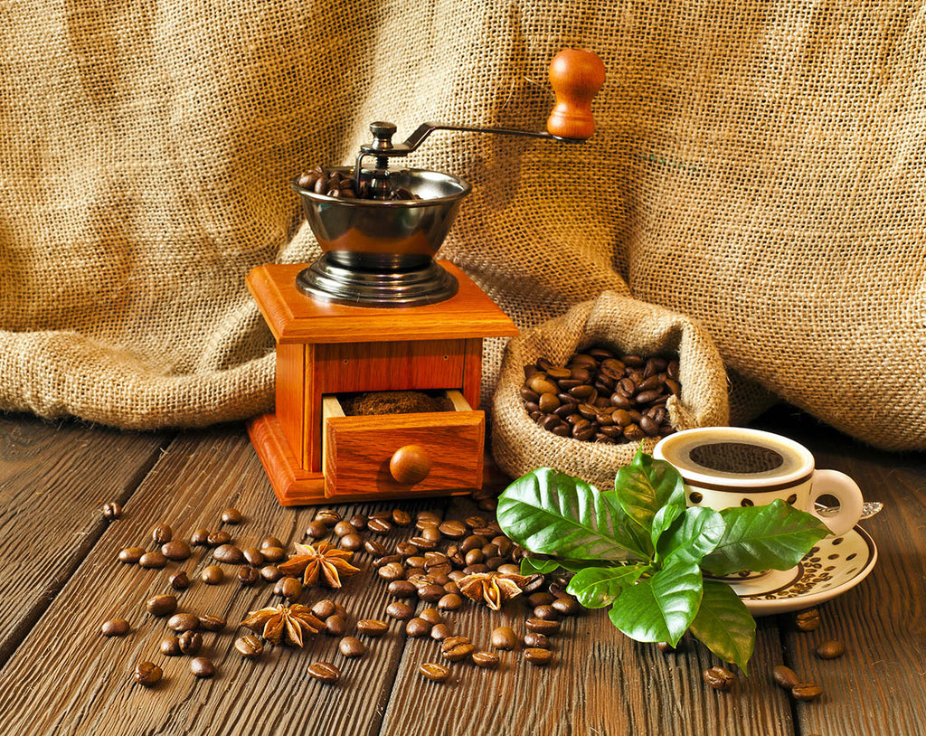 Lion's Mane Enriched Ground Coffee