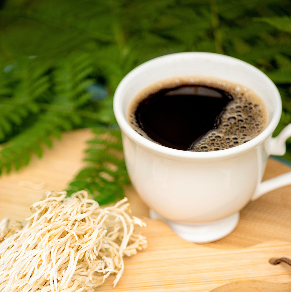 Lion's Mane Enriched Ground Coffee